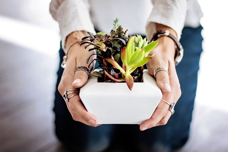 Fabric Plant Hangers